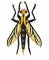 RMG144  Insect 144