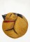 BFC1440 Fantastic Felines