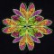 BFC1441 Fractilicious Flowers