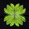 BFC1441 Fractilicious Flowers