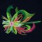 BFC1441 Fractilicious Flowers - 10