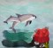 BFC1443 Endangered Species Series - Vaquita
