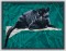 BFC1446 Large Black Jaguar