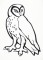 BFC1447 Blackwork Owls