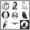 BFC1447 Blackwork Owls