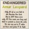 BFC1448 Endangered Species Series - Amur Leopard