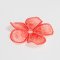 BFC1450 FSL Coral Satin Flower