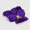 BFC1450 FSL Purple Pansy