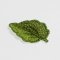 BFC1450 FSL Pointed  Basic Leaf