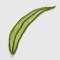 BFC1450 FSL Small Basic Leaf