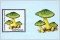 BFC1455 Vintage Mushroom Stamps