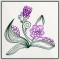 BFC1458 Celebrate Spring