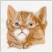 BFC1460 Four Kitten Portraits