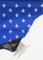 BFC1463 Large Eagle with American Flag