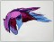 BFC1467 Three Fantasy Horse Portraits