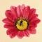 BFC1471 Gazania
