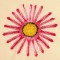 BFC1471 Gazania