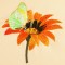 BFC1471 Gazania