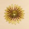 BFC1471 Gazania