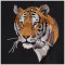 BFC1472 Four Tiger Portraits