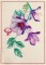 BFC1474 Watercolor Handbag Set