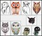 BFC1479 Outlandish Owls II