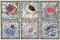 BFC1481 Stained Glass Floral Squares