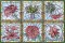 BFC1484 Stained Glass Floral Squares II
