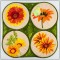 BFC1485 Quilt in the Hoop Kit