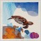 BFC1491 Endangered Species Series - Hawksbill Turtle