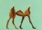 BFC1502 Approach of the Three Kings - Balthasar