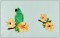 BFC1507 Tropical Birds and Flowers