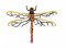 RMG151 Dragon Fly