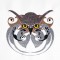 BFC1515 Tribal Owl Potraits