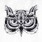 BFC1515 Tribal Owl Potraits