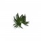 BFC1519 FSL Christmas or Winter Wreath