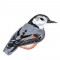 BFC1523 FSL Winter Birds