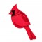 BFC1523 FSL Winter Birds