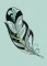 BFC1524 Fantastic Feathers