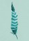 BFC1524 Fantastic Feathers
