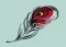 BFC1524 Fantastic Feathers