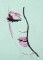 BFC1530 Colorful Abstract Ladies