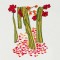 BFC1531 Beautiful Chinese Ladies