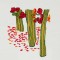 BFC1531 Beautiful Chinese Ladies