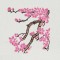 BFC1531 Beautiful Chinese Ladies