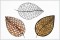 BFC1540 Lovely Leaves 3 Ways