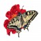BFC1546 Butterfly Handbag