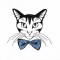 BFC1548 Cool Cats