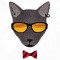 BFC1548 Cool Cats