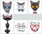 BFC1548 Cool Cats